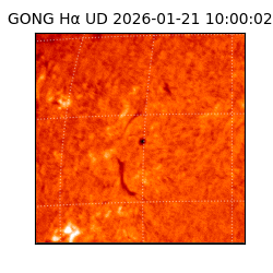 gong - 2026-01-21T10:00:02