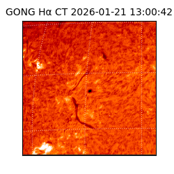 gong - 2026-01-21T13:00:42