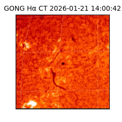 gong - 2026-01-21T14:00:42