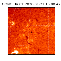 gong - 2026-01-21T15:00:42
