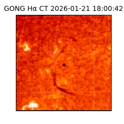 gong - 2026-01-21T18:00:42