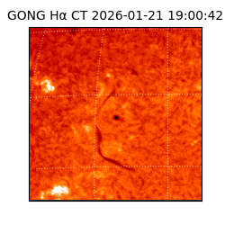 gong - 2026-01-21T19:00:42