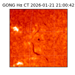 gong - 2026-01-21T21:00:42