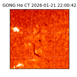 gong - 2026-01-21T22:00:42