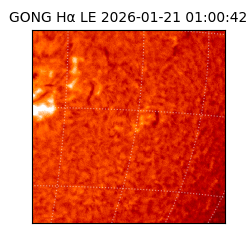 gong - 2026-01-21T01:00:42