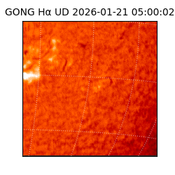 gong - 2026-01-21T05:00:02
