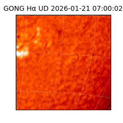 gong - 2026-01-21T07:00:02