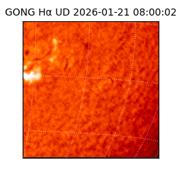 gong - 2026-01-21T08:00:02