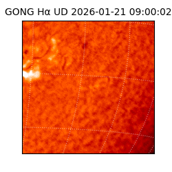 gong - 2026-01-21T09:00:02