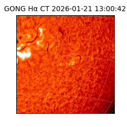 gong - 2026-01-21T13:00:42