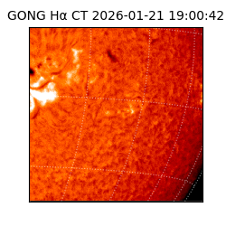 gong - 2026-01-21T19:00:42