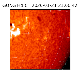 gong - 2026-01-21T21:00:42