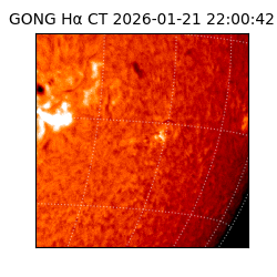 gong - 2026-01-21T22:00:42