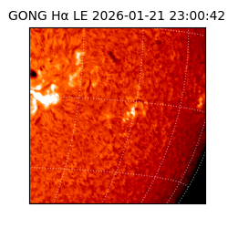 gong - 2026-01-21T23:00:42