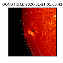 gong - 2026-01-21T01:00:42