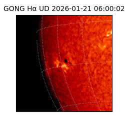 gong - 2026-01-21T06:00:02