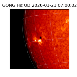 gong - 2026-01-21T07:00:02