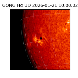 gong - 2026-01-21T10:00:02