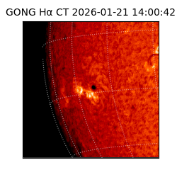 gong - 2026-01-21T14:00:42