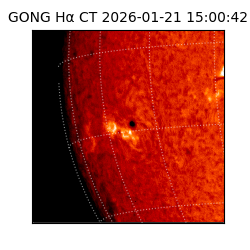gong - 2026-01-21T15:00:42