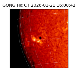 gong - 2026-01-21T16:00:42