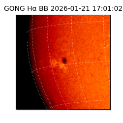 gong - 2026-01-21T17:01:02