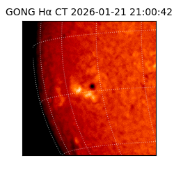 gong - 2026-01-21T21:00:42