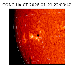 gong - 2026-01-21T22:00:42