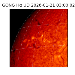 gong - 2026-01-21T03:00:02