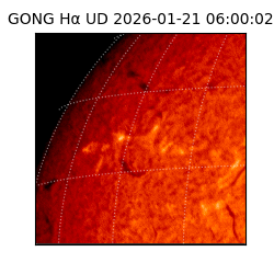 gong - 2026-01-21T06:00:02