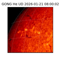 gong - 2026-01-21T08:00:02