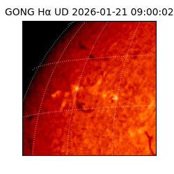 gong - 2026-01-21T09:00:02