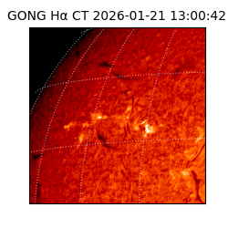 gong - 2026-01-21T13:00:42