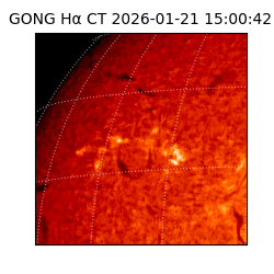 gong - 2026-01-21T15:00:42