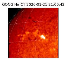 gong - 2026-01-21T21:00:42