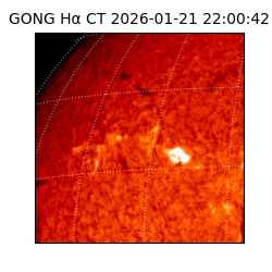 gong - 2026-01-21T22:00:42