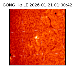 gong - 2026-01-21T01:00:42