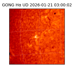 gong - 2026-01-21T03:00:02