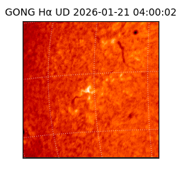 gong - 2026-01-21T04:00:02