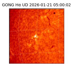 gong - 2026-01-21T05:00:02