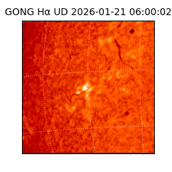 gong - 2026-01-21T06:00:02