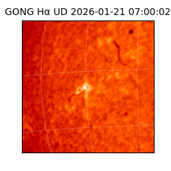 gong - 2026-01-21T07:00:02