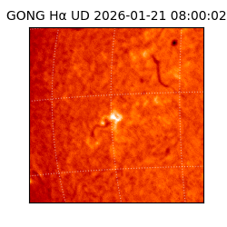 gong - 2026-01-21T08:00:02