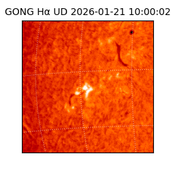 gong - 2026-01-21T10:00:02