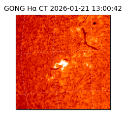 gong - 2026-01-21T13:00:42