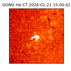 gong - 2026-01-21T15:00:42