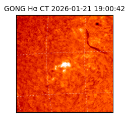 gong - 2026-01-21T19:00:42