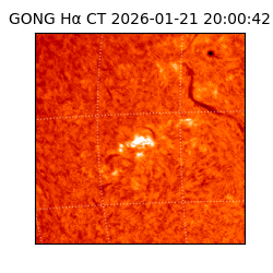 gong - 2026-01-21T20:00:42