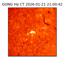 gong - 2026-01-21T21:00:42