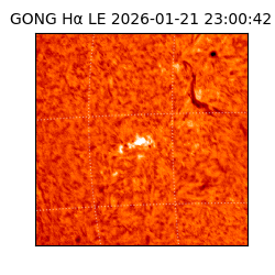 gong - 2026-01-21T23:00:42